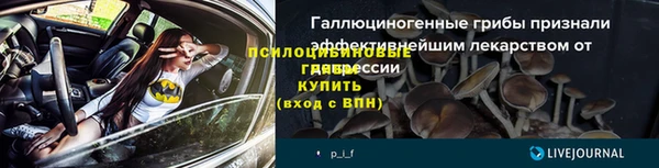 ГАЛЛЮЦИНОГЕННЫЕ ГРИБЫ Балабаново