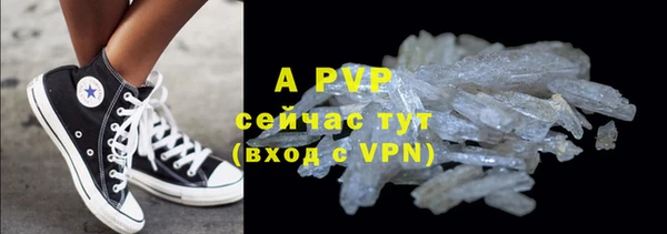ГАЛЛЮЦИНОГЕННЫЕ ГРИБЫ Балабаново
