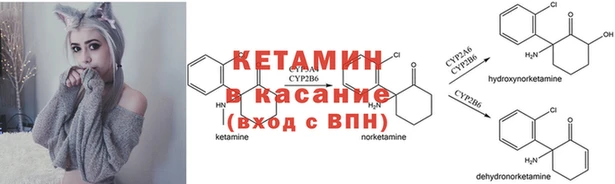ешки Балахна