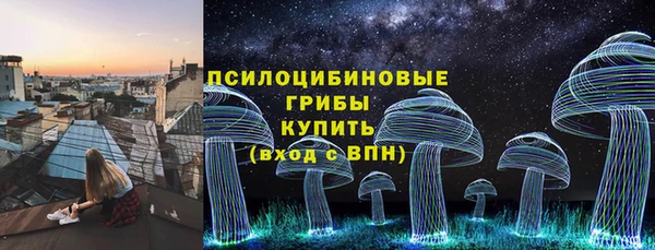 ГАЛЛЮЦИНОГЕННЫЕ ГРИБЫ Балабаново